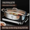 Nồi hấp cá inox đa năng dùng bếp từ, điện, gas Tiết kiệm, giá ưu đãi 642,080₫