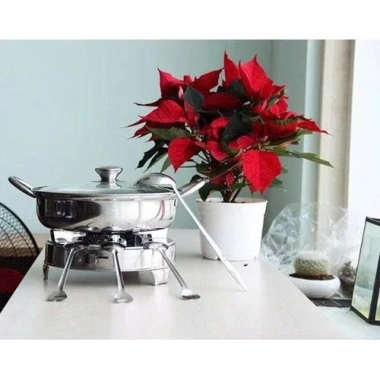 Nồi Lẩu Inox 28cm Nắp Kính Dày Dặn - Dùng cho mọi loại bếp, giảm giá 48k