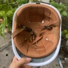 Nón bảo hiểm cá heo chuẩn quốc tế, thiết kế phong cách, nhúng cạc bón - 158.000đ 3