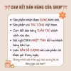 Nón cói ren viền vành tròn xinh xắn - Mũ đi biển nữ phối nơ, giá 37.500₫ 9