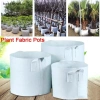 NS Chậu Trồng Túi Vải Tròn - Túi Rễ, Hộp Đựng Thực Vật, Giá chỉ 40.150₫ 2