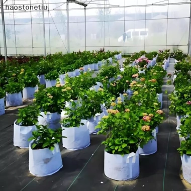 NS Chậu Trồng Túi Vải Tròn - Túi Rễ, Hộp Đựng Thực Vật, Giá chỉ 40.150₫