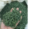 Nụ Hoa Tam Thất Sấy Khô 100gr Tự Nhiên, Nguyên Nụ Không Vụn – Cao Cấp, Giá 120k 4