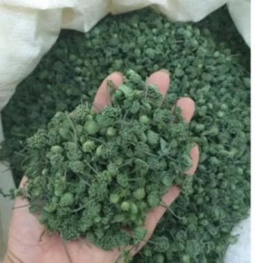Nụ Hoa Tam Thất Sấy Khô 100gr Tự Nhiên, Nguyên Nụ Không Vụn – Cao Cấp, Giá 120k 4 Nụ Hoa Tam Thất Sấy Khô 100gr Tự Nhiên, Nguyên Nụ Không Vụn – Cao Cấp, Giá 120k 4
