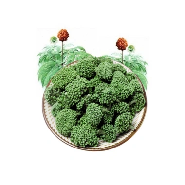 Nụ Hoa Tam Thất Sấy Khô 100gr Tự Nhiên, Nguyên Nụ Không Vụn – Cao Cấp, Giá 120k