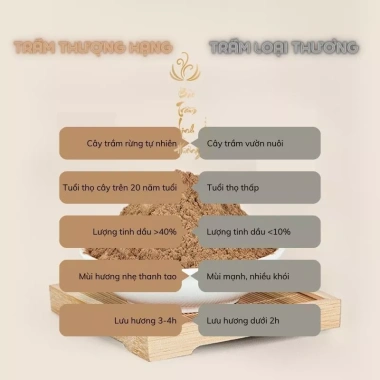 Nụ Trầm Hương Rừng Thượng Hạng Xông Đốt Thác Khói Nguyên Chất Tự Nhiên - Đồ Thờ Cúng, Xông Nhà Thiền Giá 364k 3