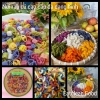 Nui gạo ngũ sắc rau củ xoắn, hoa lá, vỏ sò - Ăn kiêng giảm cân 500g chỉ 22.900₫