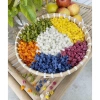 Nui gạo ngũ sắc rau củ xoắn, hoa lá, vỏ sò - Ăn kiêng giảm cân 500g chỉ 22.900₫ 3