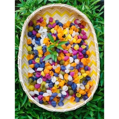 Nui gạo ngũ sắc rau củ xoắn, hoa lá, vỏ sò - Ăn kiêng giảm cân 500g chỉ 22.900₫ 6