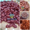 Nui ống gạo lứt 100% nguyên cám EatClean giảm cân, ăn kiêng 500g - 21.000 VND 7