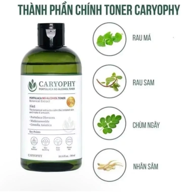 Nước Cân Bằng Da CARYOPHY Portulaca Toner 300ml Giá 290.000 Dưỡng ẩm Cân bằng pH