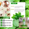 Nước Cất Tinh Dầu Bạc Hà 1.000ml - Xịt Đuổi Chuột, Rắn, Muỗi, Ruồi Giá chỉ 79.000đ 5