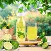 Nước chanh Calamansi Đại Lục 28.435đ - Giải khát, thơm mát, giảm còn 23.500đ, tự nhiên sảng khoái 3