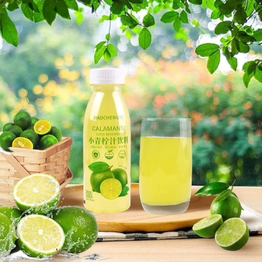 Nước chanh Calamansi Đại Lục 28.435đ - Giải khát, thơm mát, giảm còn 23.500đ, tự nhiên sảng khoái 3 Nước chanh Calamansi Đại Lục 28.435đ - Giải khát, thơm mát, giảm còn 23.500đ, tự nhiên sảng khoái 3