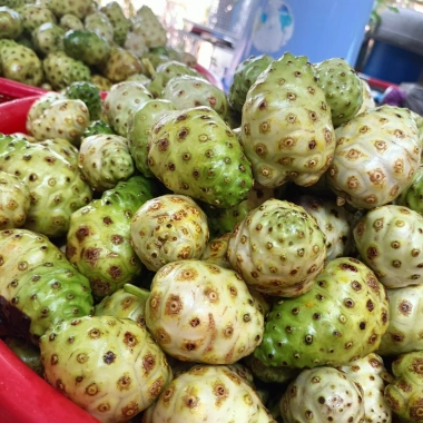 Nước cốt Nhàu nguyên chất Adeva Noni lên men tự nhiên - Giảm đau xương khớp, điều hòa huyết áp, chỉ 290.000 VND 5