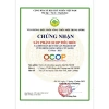 Nước Cốt Trái Nhàu SK NONI 750ml Nguyên Chất - Hỗ Trợ Sức Khỏe, Làm Đẹp Tự Nhiên 410k 7