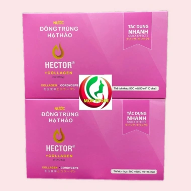 Nước Đông Trùng Hạ Thảo Hector Collagen 10 chai - Hỗ trợ làm đẹp, giảm giá 525.000₫ THUOCTOT247