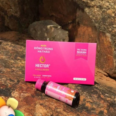 Nước Đông Trùng Hạ Thảo Hector Collagen 10 chai - Hỗ trợ làm đẹp, giảm giá 525.000₫ THUOCTOT247 7 Nước Đông Trùng Hạ Thảo Hector Collagen 10 chai - Hỗ trợ làm đẹp, giảm giá 525.000₫ THUOCTOT247 7