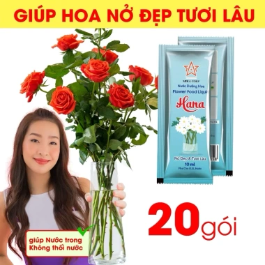 Nước Dưỡng Hoa Tươi Lâu Hana - Giữ Hoa Bền Đẹp Hạn Chế Héo Gói Tiện Lợi 47k