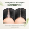 Nước Dưỡng Tóc Gừng Tươi ROUTINE-S Giảm Gãy Rụng, Ngăn Gàu, Tóc Khỏe Mạnh Giá 127k 4
