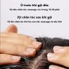 Nước Dưỡng Tóc Gừng Tươi ROUTINE-S Giảm Gãy Rụng, Ngăn Gàu, Tóc Khỏe Mạnh Giá 127k 5