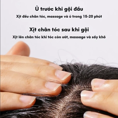 Nước Dưỡng Tóc Gừng Tươi ROUTINE-S Giảm Gãy Rụng, Ngăn Gàu, Tóc Khỏe Mạnh Giá 127k