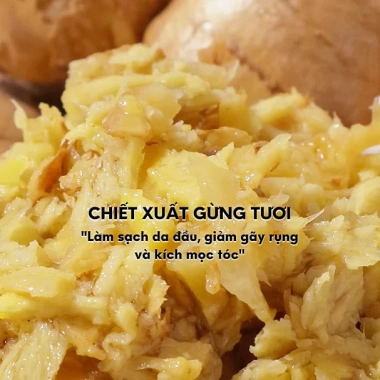 Nước Dưỡng Tóc Gừng Tươi ROUTINE-S Giảm Gãy Rụng, Ngăn Gàu, Tóc Khỏe Mạnh Giá 127k 8 Nước Dưỡng Tóc Gừng Tươi ROUTINE-S Giảm Gãy Rụng, Ngăn Gàu, Tóc Khỏe Mạnh Giá 127k 8