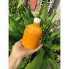 Nước ép nghệ tươi nguyên chất 1L - Giảm giá 21% - Dưỡng da, tăng sức đề kháng 3