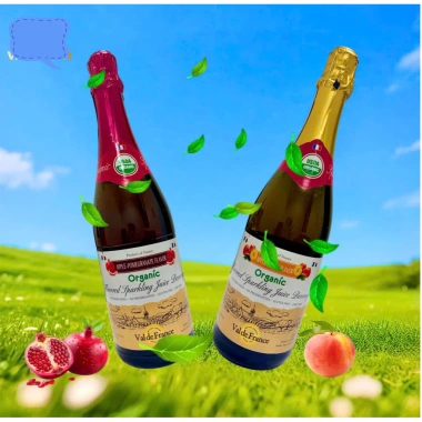 Nước Ép Trái Cây Có Ga Organic Val de France 750ml - Nhập Khẩu Pháp Giá 160k