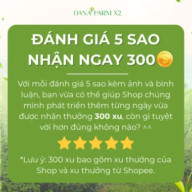 Nước Giải Khát Sangaria Nhật Bản 500ml - Soda Trái Cây Có Ga, Giá 35.000đ