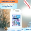Nước Giặt Xả 2in1 Đức Giang 5kg 10kg Hương Nước Hoa Giặt Sạch Vết Bẩn Lưu Hương 7 Ngày Giá 178.000 VND 7