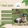 Nước gội bồ kết thảo mộc cô đặc 500ml - Mùi hương của Mẹ, giảm còn 170k 2