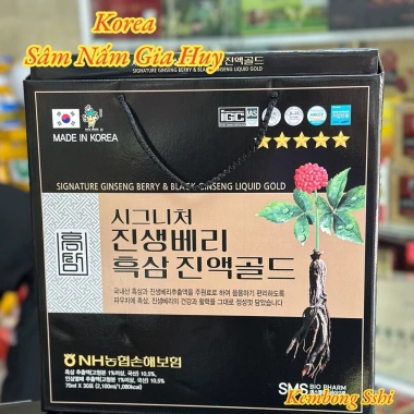 Nước Hắc Sâm Korea Black Red Ginseng Cao Cấp Hàn Quốc Hộp Quai Xách 30 Gói Giá Ưu Đãi