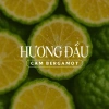 Nước Hoa ChaChing Beauty X Ngọc Trinh Unisex 10ml-45ml Khử Mùi Cơ Thể Hương Linh Lan Gió Biển Lưu Hương - Giá 215.000 VND 4