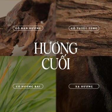 Nước Hoa ChaChing Beauty X Ngọc Trinh Unisex 10ml-45ml Khử Mùi Cơ Thể Hương Linh Lan Gió Biển Lưu Hương - Giá 215.000 VND 6