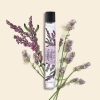 Nước hoa dạng lăn Yves Rocher Perfume Concentrate 10ml - Dưỡng hương tinh dầu, giảm giá 540k 6