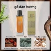 Nước Hoa Gỗ Đàn Yixiang 50ml – Hương Thành Phố Nhỏ, Chính Hãng, Lâu Dài Eau De Toilette 8