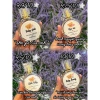 Nước hoa Honeybear mùi phấn em bé dịu nhẹ 25ml - Hương thơm ngọt ngào, giá ưu đãi 89.000₫ 2