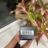 Nước hoa mini Tom Ford Ombre Leather - Sephora US, giảm giá 380k (giá gốc 475k) 4