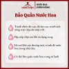 Nước hoa nữ Carolina Herrera Good Girl EDP chính hãng - Giá chỉ 380.000 VND 7