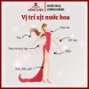 Nước hoa nữ Carolina Herrera Good Girl EDP chính hãng - Giá chỉ 380.000 VND 8