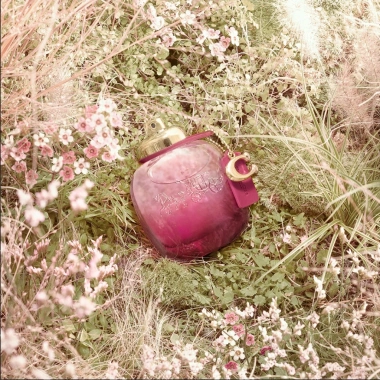 Nước hoa nữ Coach Wild Rose EDP 30ml - Giảm còn 1,5 triệu, hương hồng hoang dã