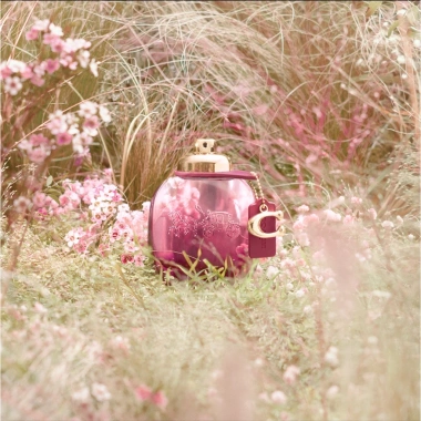 Nước hoa nữ Coach Wild Rose EDP 90ml - Hương hồng hoang dã sang trọng, giảm giá 18% chỉ 3.2 triệu