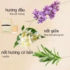 Nước Hoa Nữ SELLION 100ml Hương Hoa Trái Cây Quyến Rũ Giá chỉ 179.000 VND giảm 20% 5