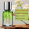 Nước hoa ô tô COCO cao cấp Mùi nhẹ, khử mùi, chống say xe, giảm giá 20% 200.000₫ 6