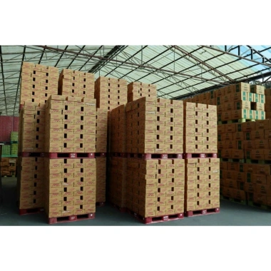 Nước Hồng Sâm Achimadang 10 lon 180ml Giá giảm 115k tăng sức đề kháng năng lượng 5