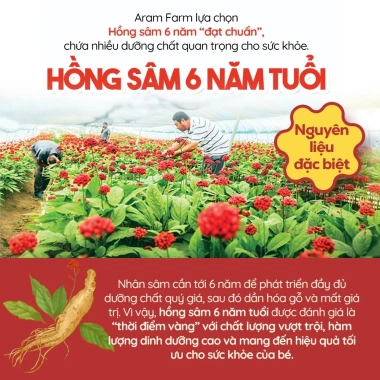 Nước hồng sâm HiDino ARAM FARM cho bé 1 tuổi, hồng sâm 6 năm, tăng đề kháng, không chất bảo quản, 19.000đ 3 Nước hồng sâm HiDino ARAM FARM cho bé 1 tuổi, hồng sâm 6 năm, tăng đề kháng, không chất bảo quản, 19.000đ 3