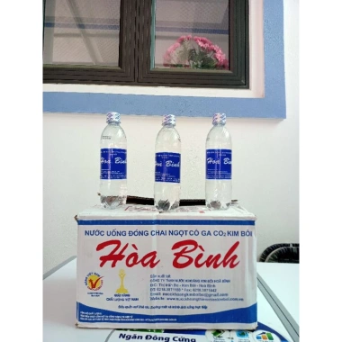 Nước khoáng ngọt Ga 500ml - 5 chai/1 thùng 24 chai, giảm còn 45.000đ 3