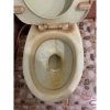 Nước lau gạch đa năng, giá 109.000đ, tẩy cặn bẩn, rêu, vết ố trên gạch đỏ, men, sứ 8