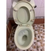 Nước lau gạch đa năng, giá 109.000đ, tẩy cặn bẩn, rêu, vết ố trên gạch đỏ, men, sứ 9